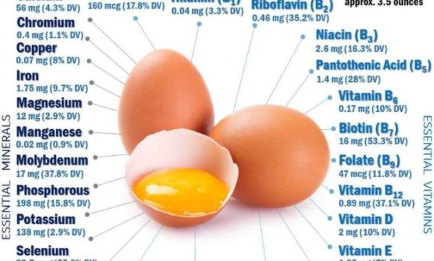 Hard Boiled Eggs Nutrition Facts A Deep Dive