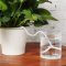 How to Water Indoor Plants While on Vacation