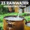 How to Collect Rain Water for Plants