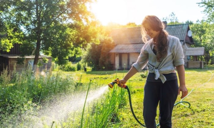 Is water softener bad for plants