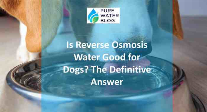 Is reverse osmosis water good for plants