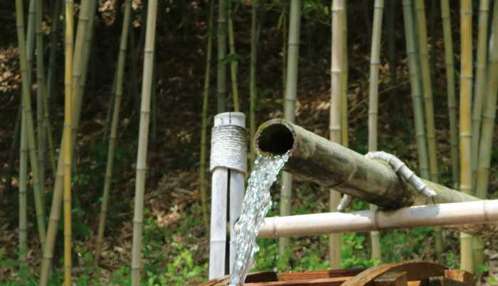 How often do i water my bamboo plant