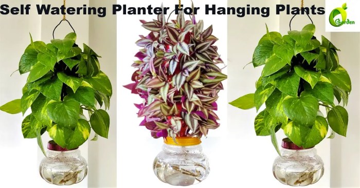 Hanging basket watering water pan tips dry too gets when do