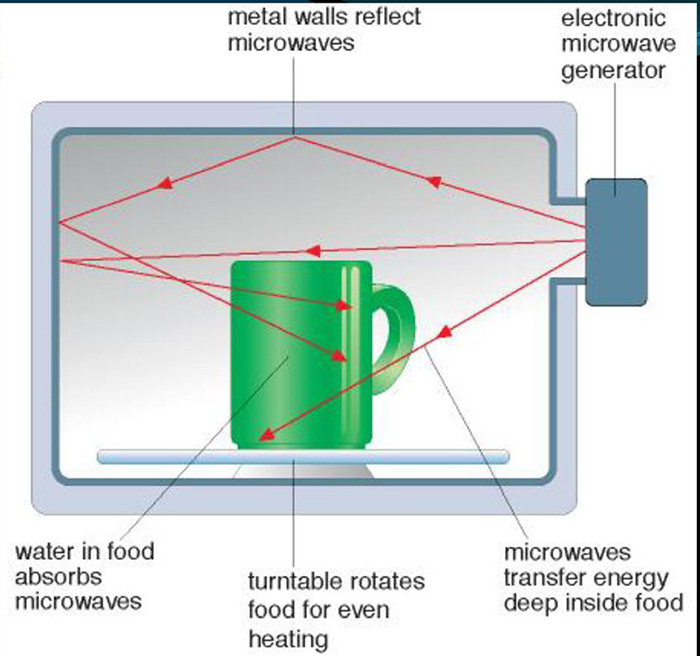 Does microwaved water kill plants