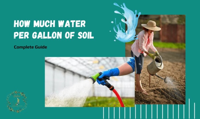 How many gallons of water per plant