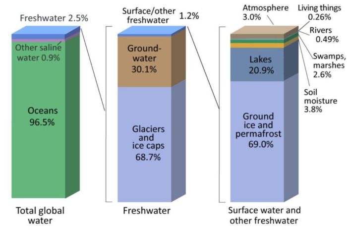 How many gallons of water per plant