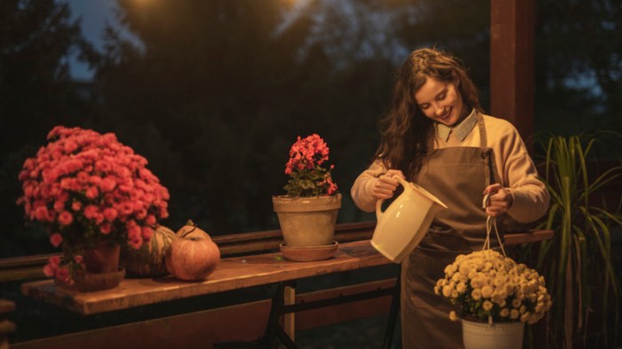 Is it okay to water plants at night