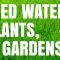 Does Water Softener Kill Plants?