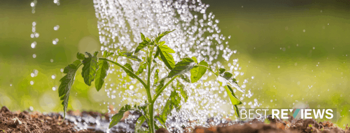 Does water softener kill plants